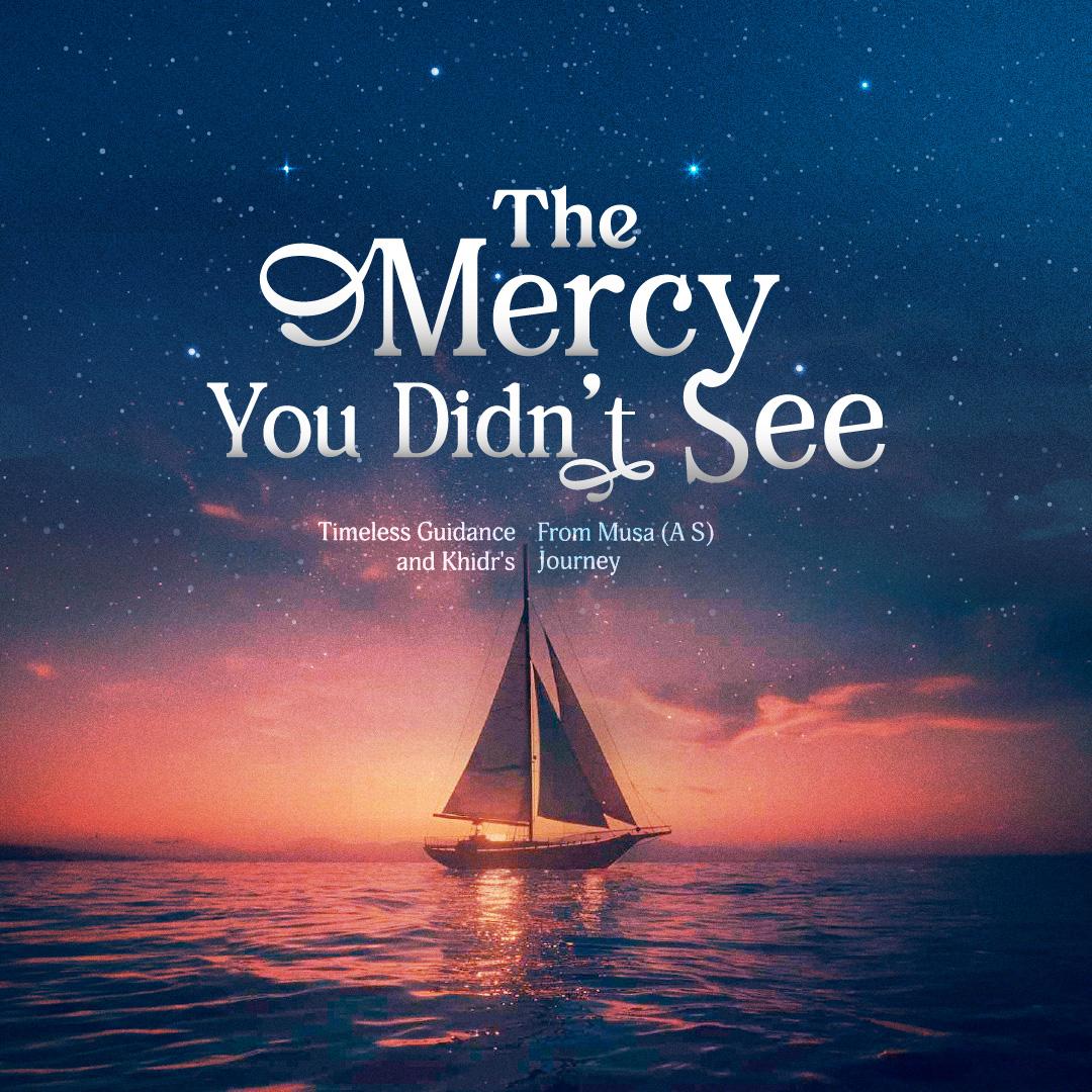 Image of The Mercy You Didn't See
